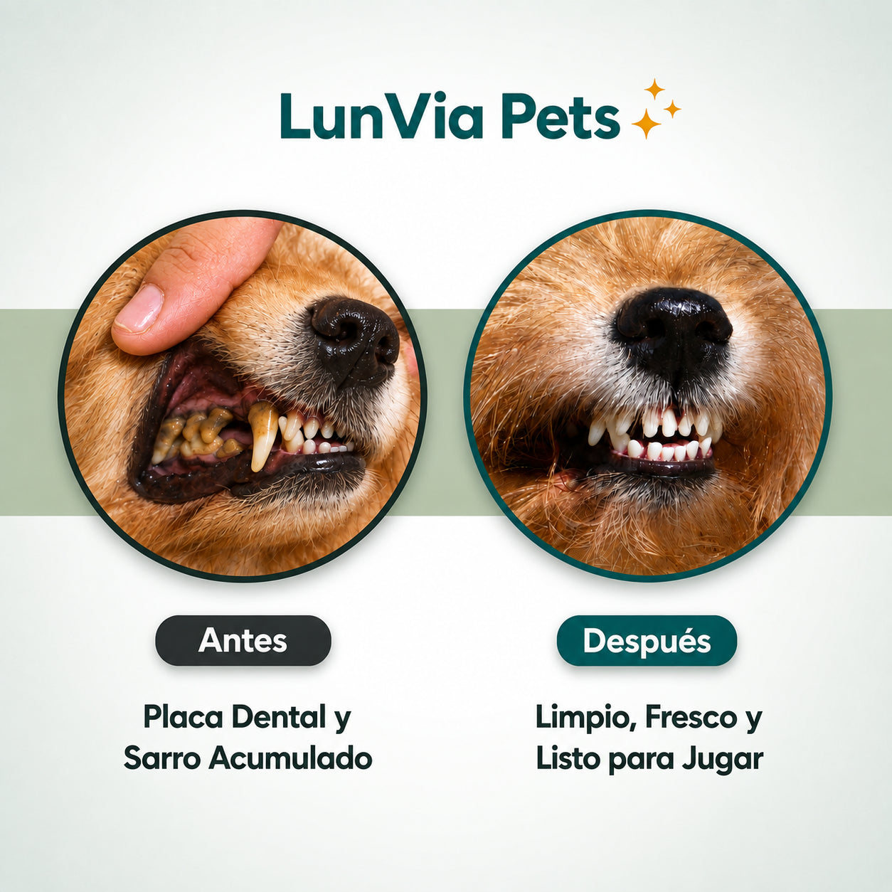 Kit de Aseo Facial: Oídos, Dientes y Nariz