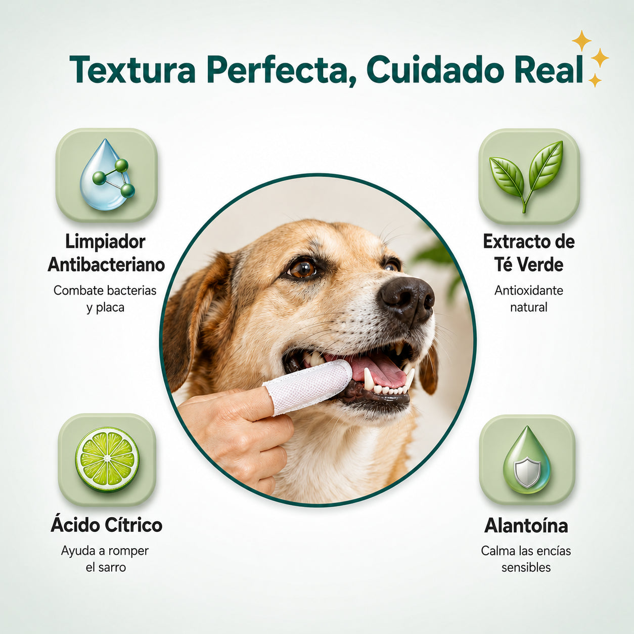 Kit de Aseo Facial: Oídos, Dientes y Nariz
