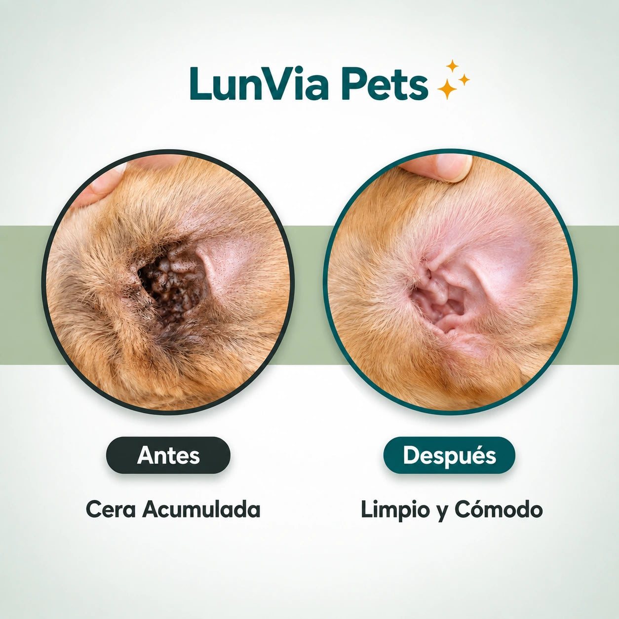Kit de Aseo Facial: Oídos, Dientes y Nariz